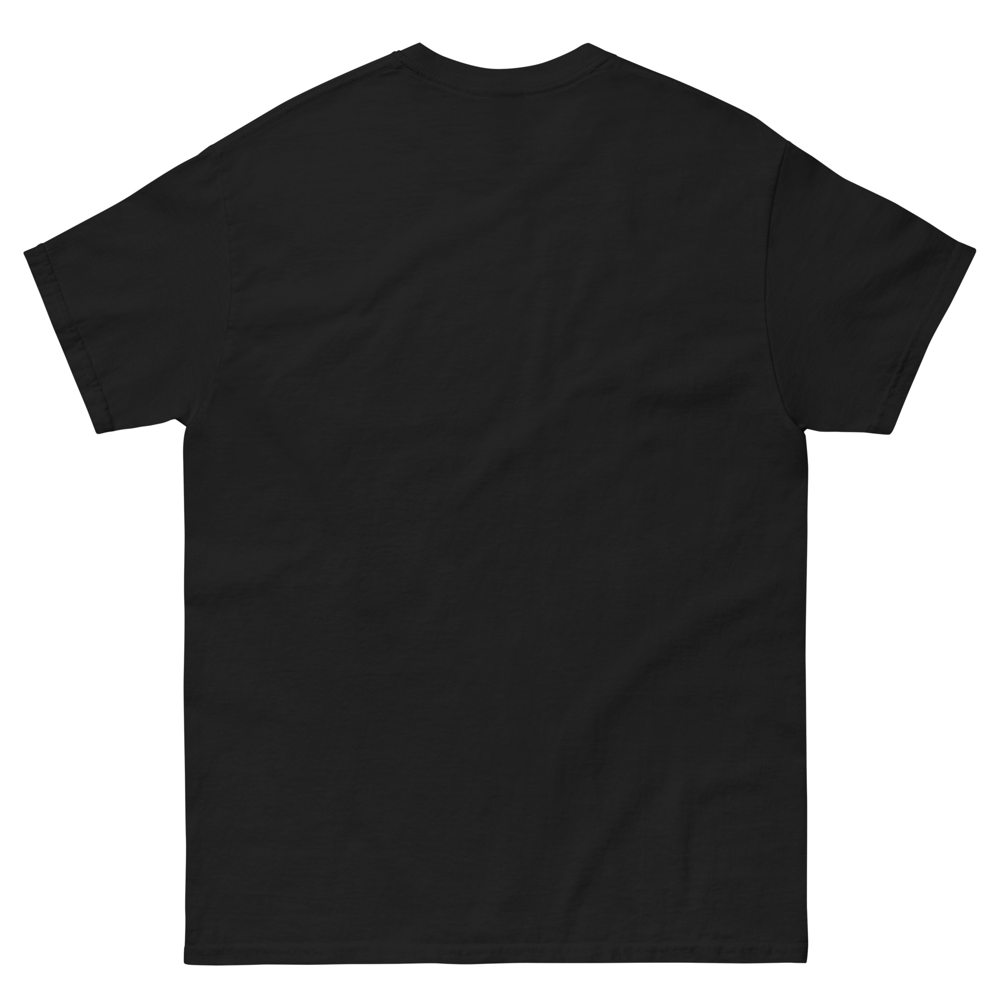 unisex-classic-tee-black-back-69e89f5c7092c.jpg
