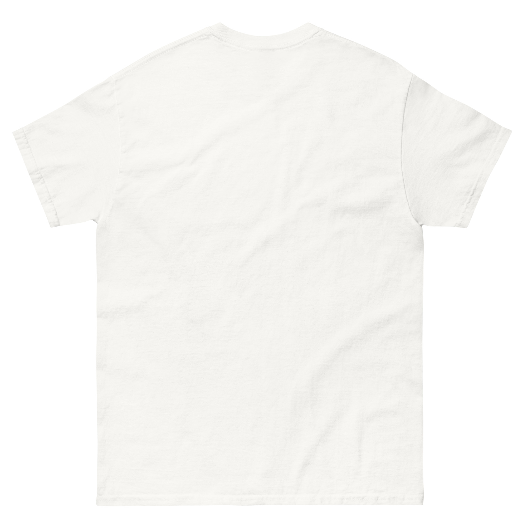 unisex-classic-tee-white-back-69e89f5c72ed6.jpg